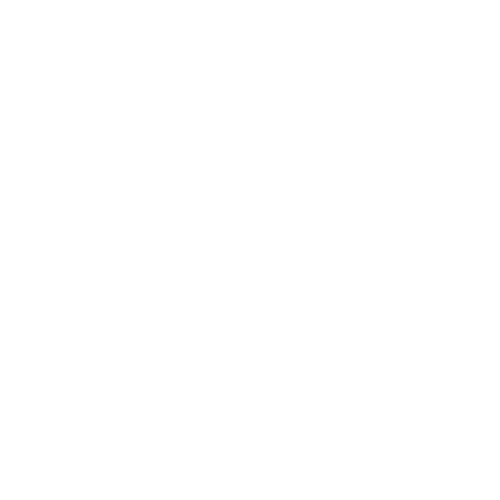 Executive Choice Transportation
